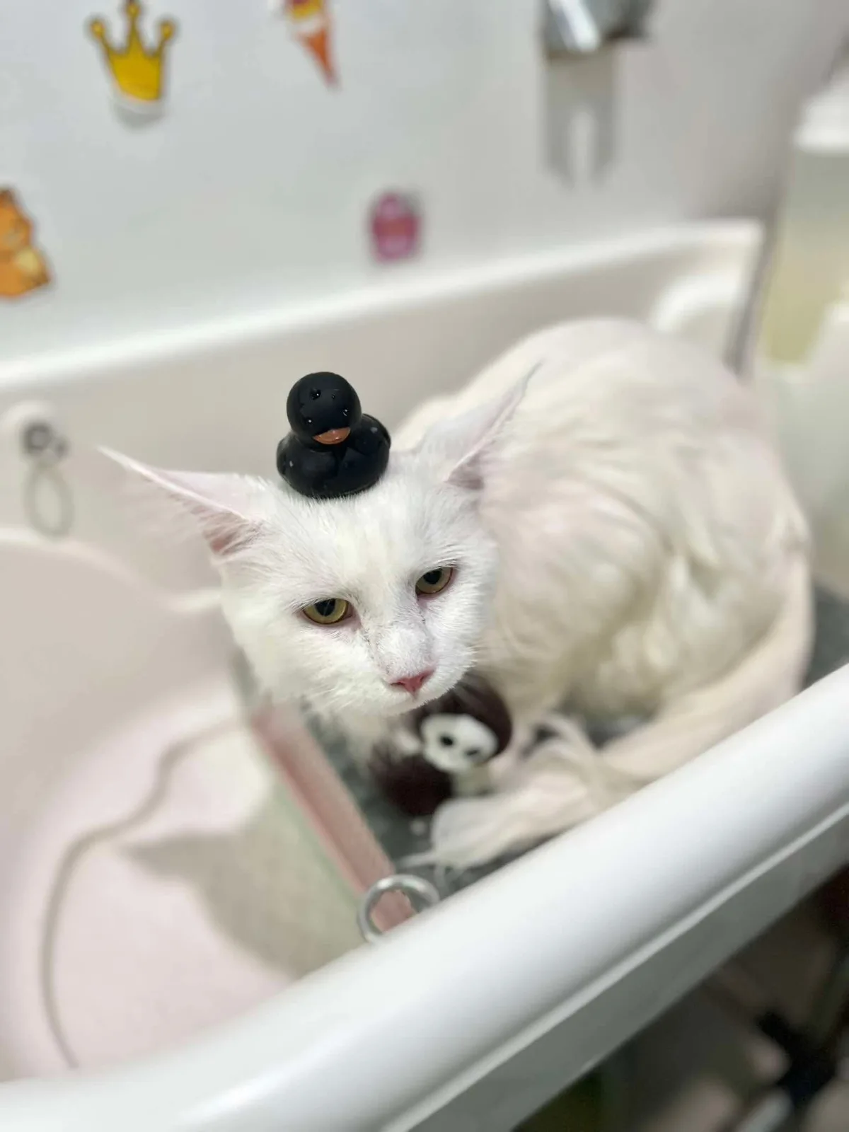 lala-bath-01